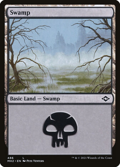 Swamp (#486)\nModern Horizons 2\nSingle\nMagic The Gathering