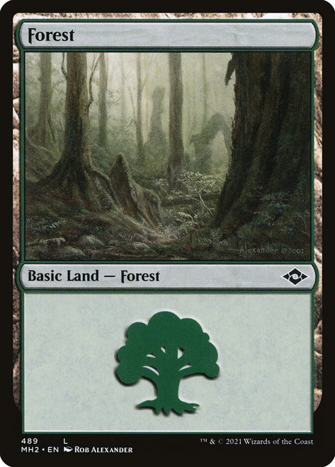 Forest (#489)\nModern Horizons 2\nSingle\nMagic The Gathering