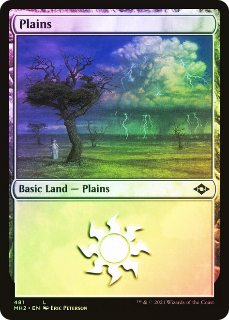 Plains (#481)\nModern Horizons 2\nSingle\nMagic The Gathering