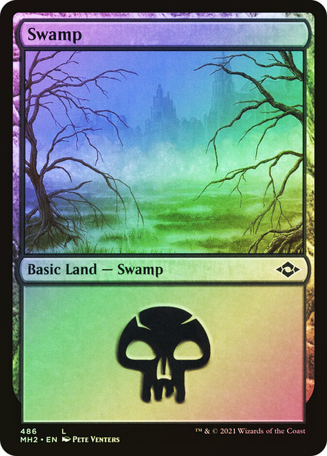 Swamp (#486)\nModern Horizons 2\nSingle\nMagic The Gathering