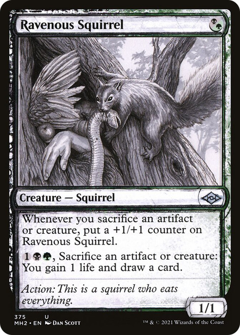 Ravenous Squirrel (Showcase)\nModern Horizons 2 - Variants\nSingle\nMagic The Gathering