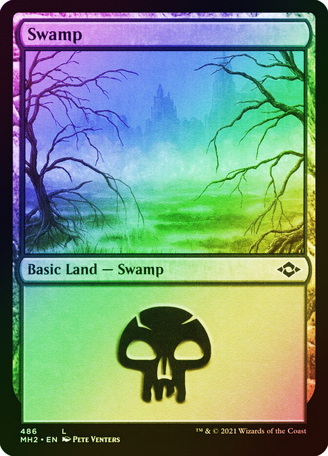 Swamp (#486) (Foil Etched)\nModern Horizons 2 - Foil Etched\nSingle\nMagic The Gathering