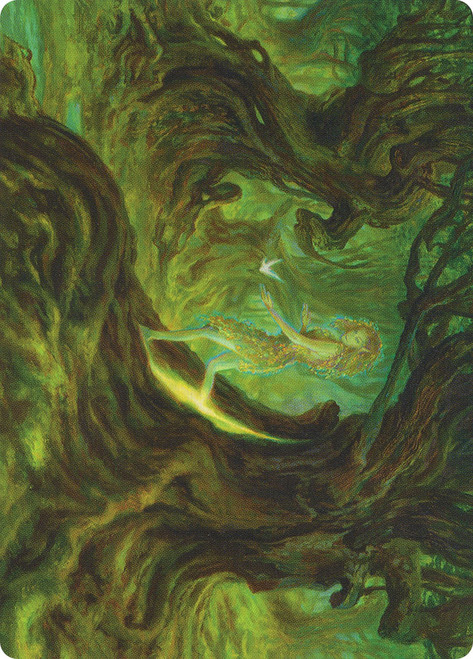 {Neverwinter Dryad Art Card}\nArt Series\nSingle\nMagic The Gathering