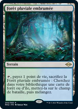 Misty Rainforest | Modern Horizons 2 - Japanese | Star City Games
