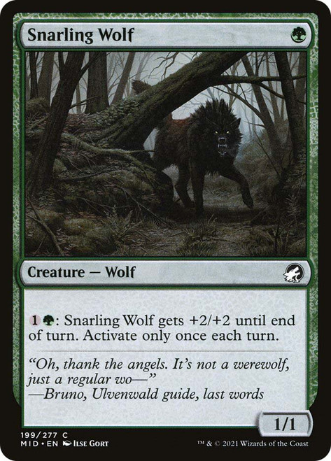 Snarling Wolf\nInnistrad: Midnight Hunt\nSingle\nMagic The Gathering