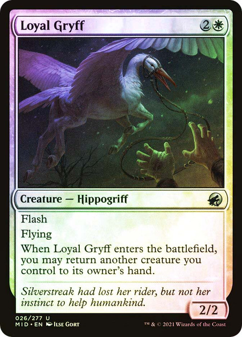 Loyal Gryff\nInnistrad: Midnight Hunt\nSingle\nMagic The Gathering