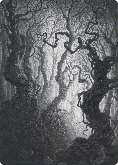 {Forest Art Card} (#80)\nArt Series\nSingle\nMagic The Gathering