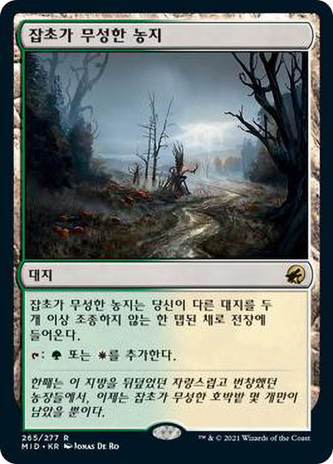 Overgrown Farmland
Innistrad: Midnight Hunt - Korean
Single
Magic The Gathering