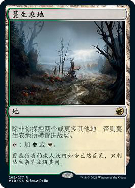Overgrown Farmland
Innistrad: Midnight Hunt - Chinese - Simplified
Single
Magic The Gathering