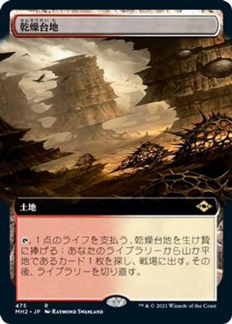 Arid Mesa (Extended Art) | Modern Horizons 2 - Variants - German