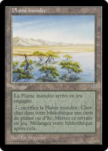 Flood Plain\nMirage - French\nSingle\nMagic The Gathering