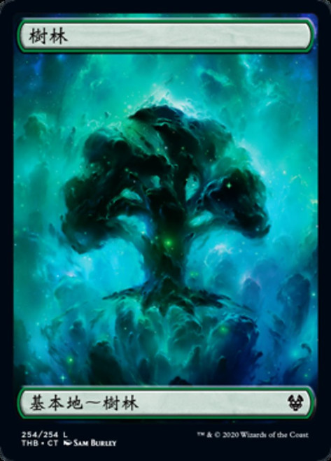 絵画 NAZE - He is the god of the forest Forest (Full Art) | Theros Beyond Death - Portuguese | Star City Games
