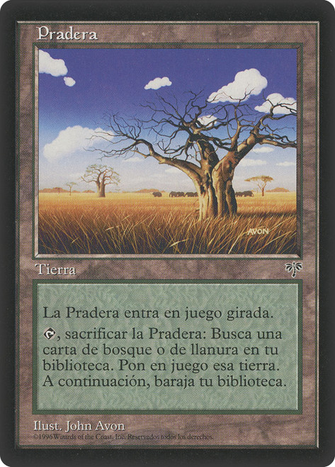 Grasslands\nMirage - Spanish\nSingle\nMagic The Gathering