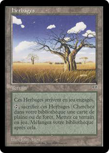 Grasslands\nMirage - French\nSingle\nMagic The Gathering