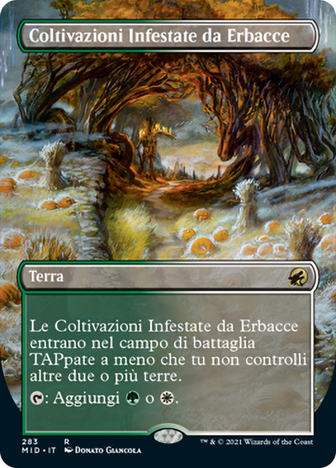 Overgrown Farmland (Borderless)\nInnistrad: Midnight Hunt - Variants - Italian\nSingle\nMagic The Gathering