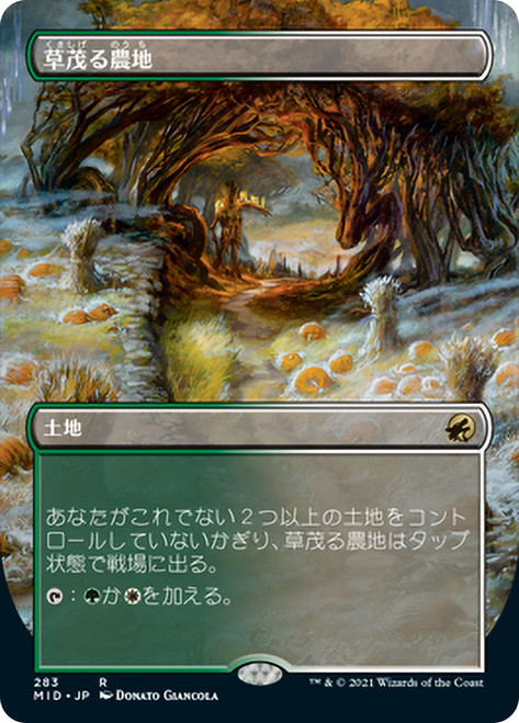 Overgrown Farmland (Borderless)\nInnistrad: Midnight Hunt - Variants - Japanese\nSingle\nMagic The Gathering