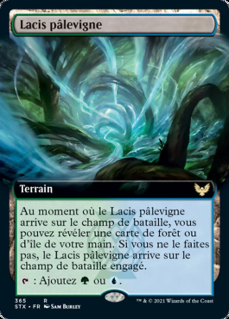 Vineglimmer Snarl (Extended Art)\nStrixhaven: School of Mages - Variants - French\nSingle\nMagic The Gathering