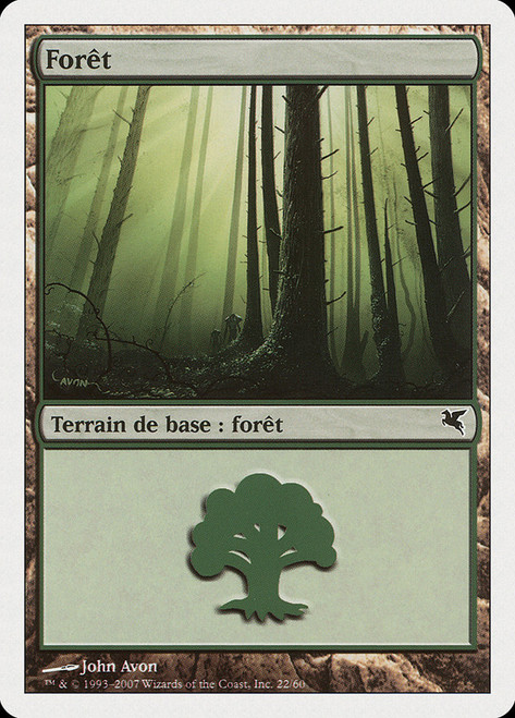 Forest (#22) (2007) (John Avon)\nSalvat-Hachette - French\nSingle\nMagic The Gathering