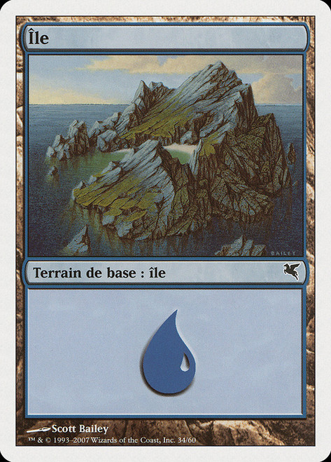 Island (#34) (2006) (Scott Bailey)\nSalvat-Hachette - French\nSingle\nMagic The Gathering