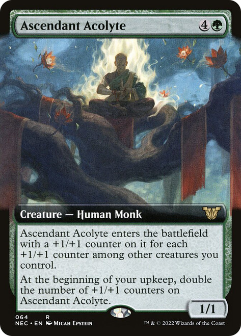 Ascendant Acolyte (Extended Art)\nKamigawa: Neon Dynasty Commander - Variants\nSingle\nMagic The Gathering