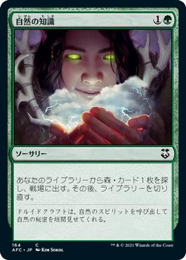 Magic: The Gathering - Nature's Lore (Sapere Della Natura) - Carta Comune Dal Set Portal (POR), Singola
