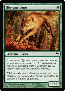 Young Wolf\nDark Ascension - Italian\nSingle\nMagic The Gathering