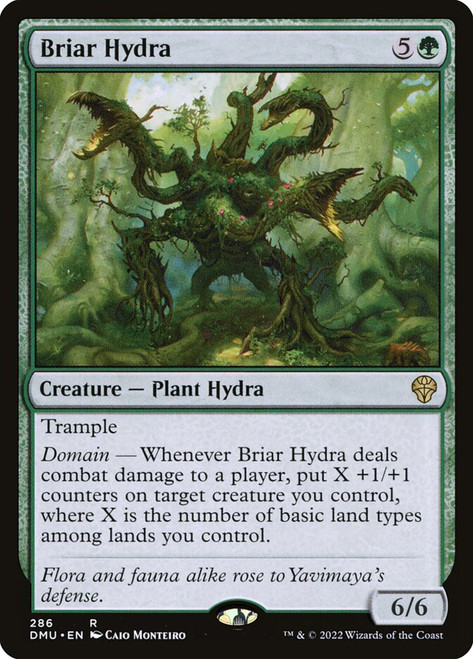 Briar Hydra\nDominaria United\nSingle\nMagic The Gathering