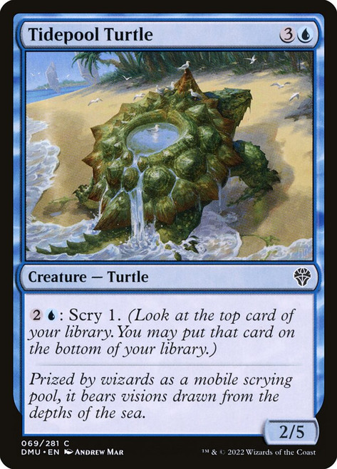 Tidepool Turtle\nDominaria United\nSingle\nMagic The Gathering