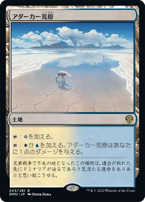 Adarkar Wastes\nDominaria United - Japanese\nSingle\nMagic The Gathering