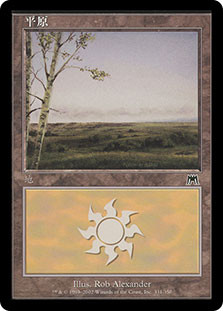 Plains (#331)
Onslaught - Chinese Simplified
Single
Magic The Gathering