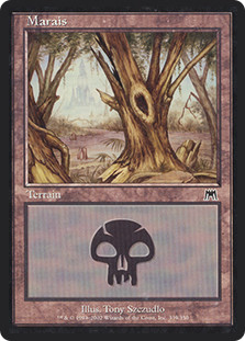 Swamp (#339)
Onslaught - French
Single
Magic The Gathering