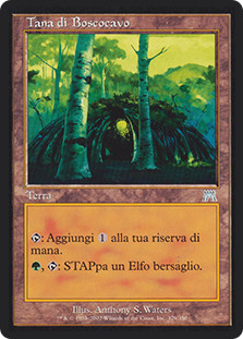 Wirewood Lodge
Onslaught - Italian
Single
Magic The Gathering