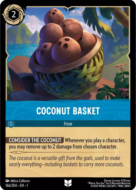 Coconut Basket