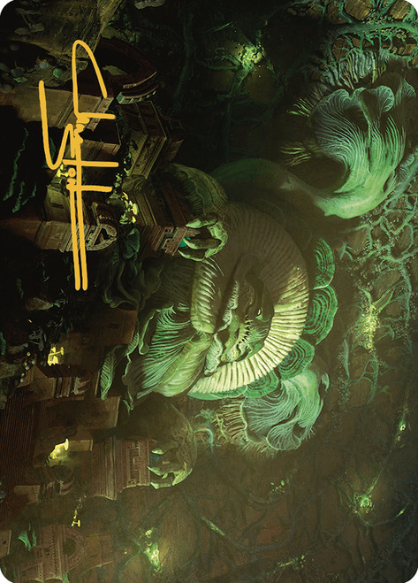 {The Mycotyrant Art Card} (Signed)\nArt Series: The Lost Caverns of Ixalan - Variants\nSingle\nMagic The Gathering