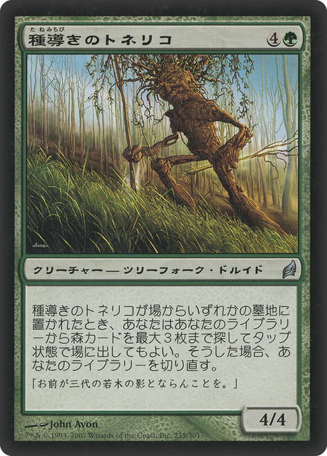 Seedguide Ash\nLorwyn - Japanese\nSingle\nMagic The Gathering