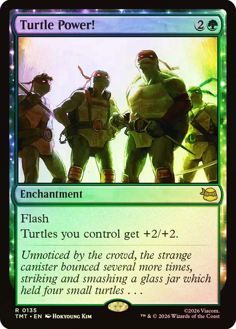 Turtles in Time | Teenage Mutant Ninja Turtles | Star City Games