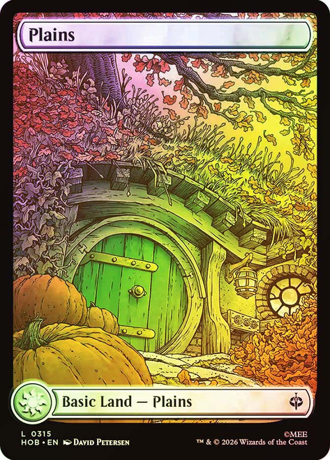 Plains
The Hobbit
Single
Magic: The Gathering