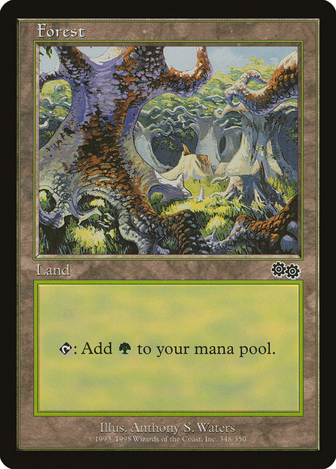 MTG 【USG】　Forrest アリーナfoil サインド Forest | Urza's Saga | Star City Games