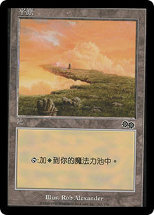 Plains (#333)
Urza's Saga - Chinese Traditional
Single
Magic The Gathering