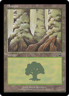 Forest (#350)
Mercadian Masques - Spanish
Single
Magic The Gathering