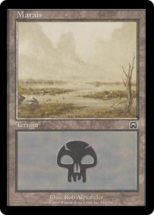 Swamp (#340)
Mercadian Masques - French
Single
Magic The Gathering