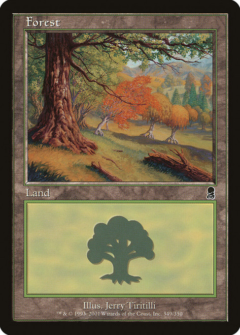 Forest (#349)\nOdyssey\nSingle\nMagic The Gathering