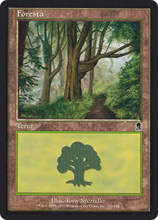 Forest (#350)
Odyssey - Italian
Single
Magic The Gathering