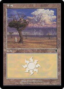 Plains (#333)
Odyssey - Japanese
Single
Magic The Gathering