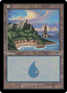 Island (#335)
Onslaught - Japanese
Single
Magic The Gathering