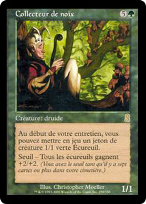 MTG 木の実拾い Nut Collector  foil 英語版　オデッセイ MTG 木の実拾い Nut Collector foil 英語版 オデッセイ Amazon