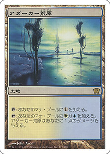 Adarkar Wastes
9th Edition - Japanese
Single
Magic The Gathering
