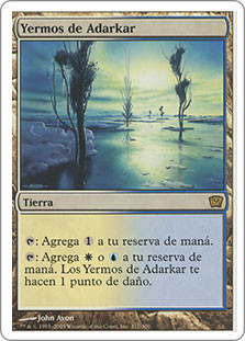 Adarkar Wastes
9th Edition - Spanish
Single
Magic The Gathering