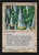 Wall of Swords (Not Tournament Legal)\nInternational Edition\nSingle\nMagic The Gathering