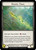 Rosetta Thorn Non-foil English